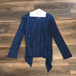 Blue Cardigan